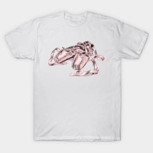 Pink Ballet Shoes T-Shirt